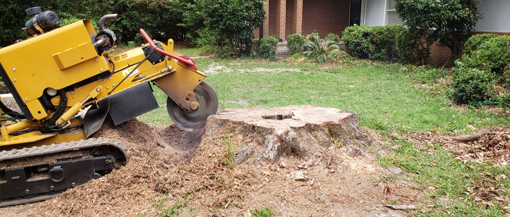 using stump remover, Gainesville FL